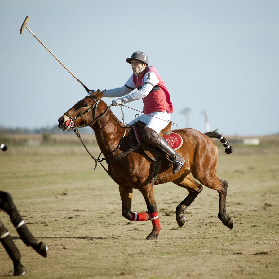 Polo François Macarez