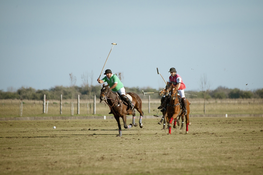 Polo François Macarez