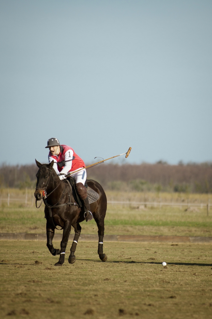 Polo François Macarez