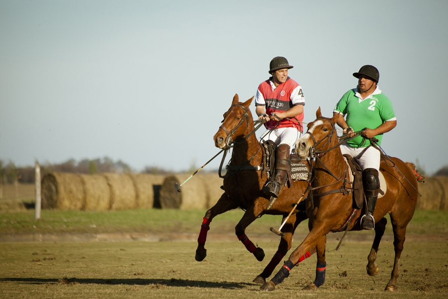 Polo François Macarez