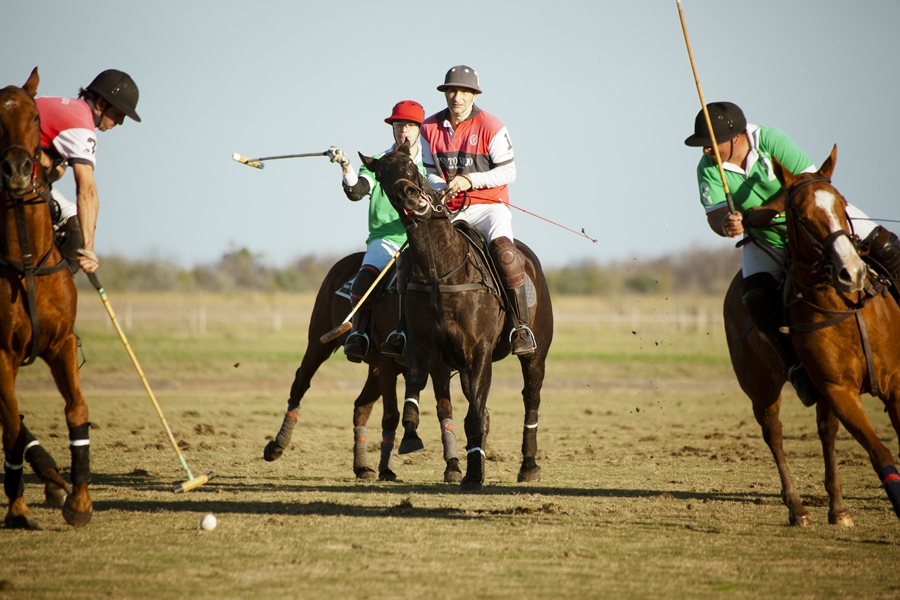 Polo François Macarez
